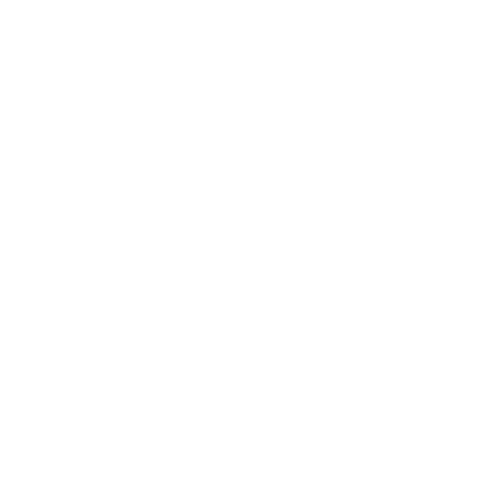 Opry Entertainment Group